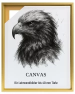 Schattenfugenrahmen 40mm Gold